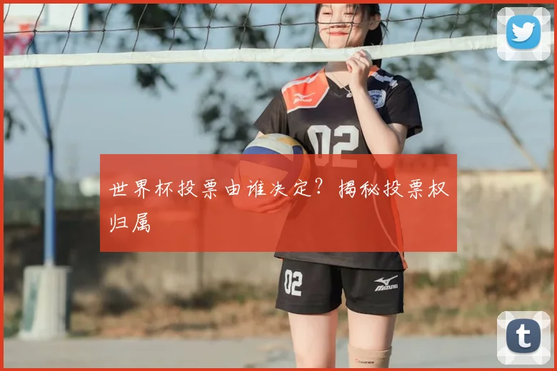 世界杯投票由谁决定?揭秘投票权归属