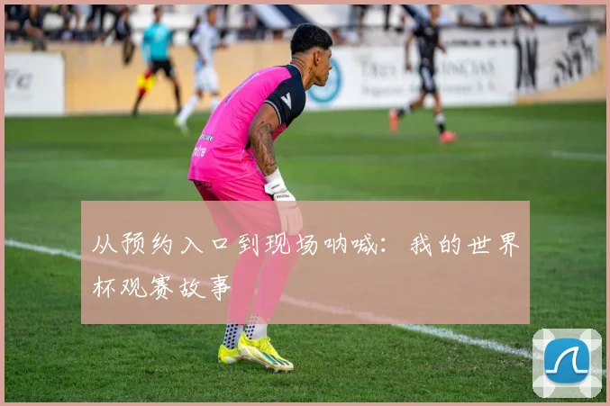 从预约入口到现场呐喊：我的世界杯观赛故事