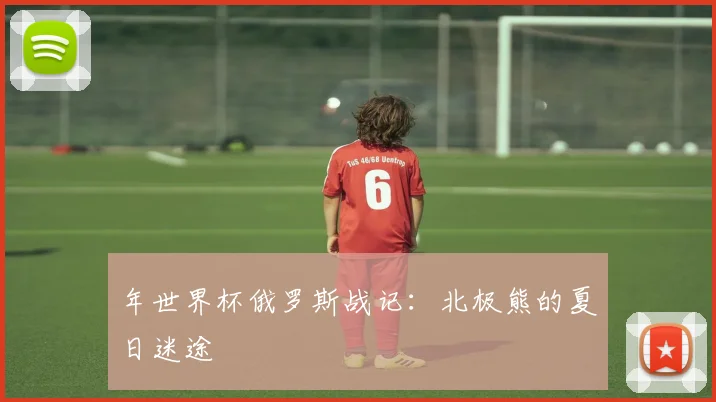 年世界杯俄罗斯战记：北极熊的夏日迷途