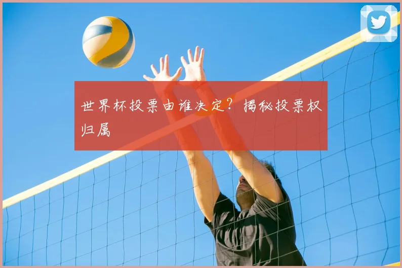 世界杯投票由谁决定?揭秘投票权归属