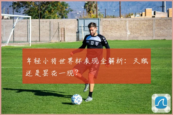 年轻小将世界杯表现全解析:天赋还是昙花一现?