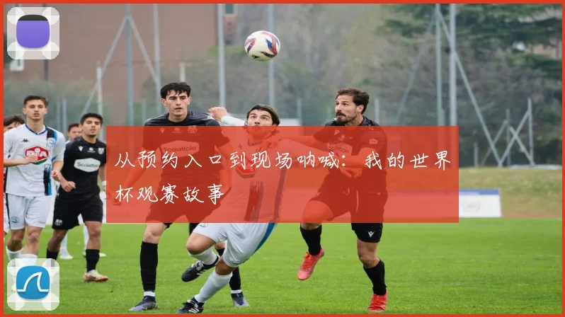 从预约入口到现场呐喊:我的世界杯观赛故事
