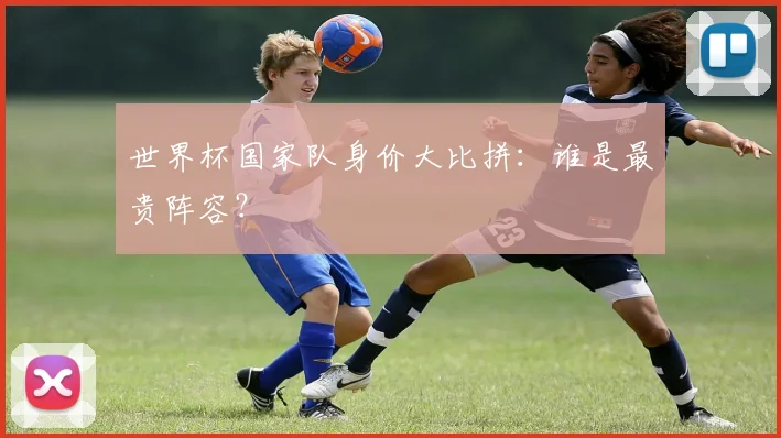 世界杯国家队身价大比拼：谁是最贵阵容？