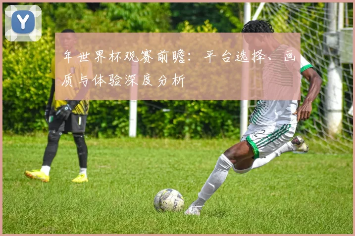 年世界杯观赛前瞻：平台选择、画质与体验深度分析