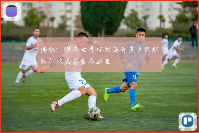 揭秘：现在世界杯到底有多少只球队？权威答案在这里