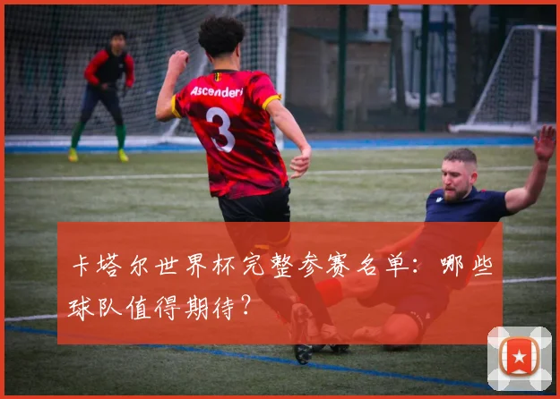 卡塔尔世界杯完整参赛名单：哪些球队值得期待？